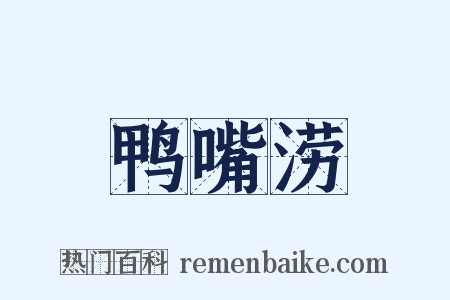 鸭嘴涝是什么意思的图片